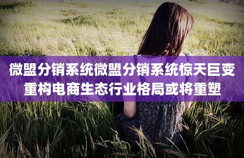 微盟分销系统微盟分销系统惊天巨变重构电商生态行业格局或将重塑