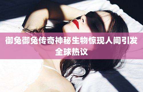御兔御兔传奇神秘生物惊现人间引发全球热议