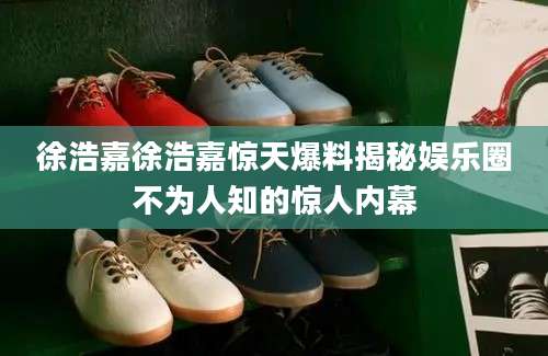 徐浩嘉徐浩嘉惊天爆料揭秘娱乐圈不为人知的惊人内幕