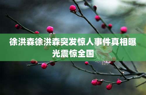 徐洪森徐洪森突发惊人事件真相曝光震惊全国