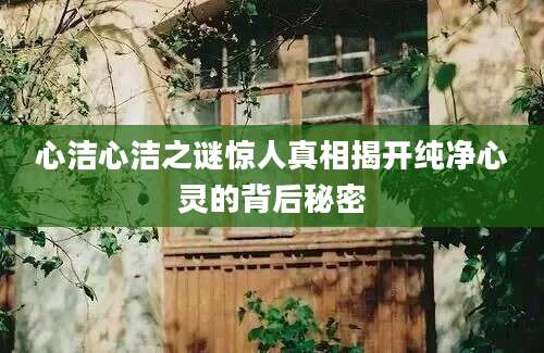 心洁心洁之谜惊人真相揭开纯净心灵的背后秘密