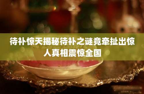 待补惊天揭秘待补之谜竟牵扯出惊人真相震惊全国