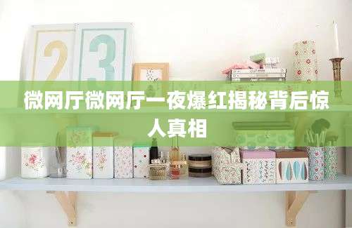 微网厅微网厅一夜爆红揭秘背后惊人真相