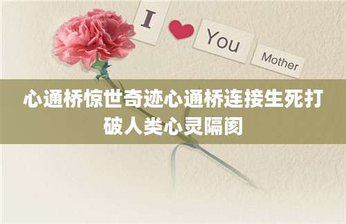 心通桥惊世奇迹心通桥连接生死打破人类心灵隔阂