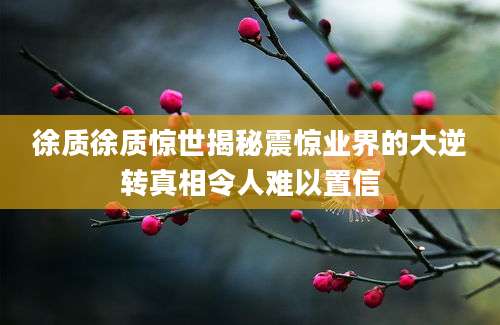 徐质徐质惊世揭秘震惊业界的大逆转真相令人难以置信