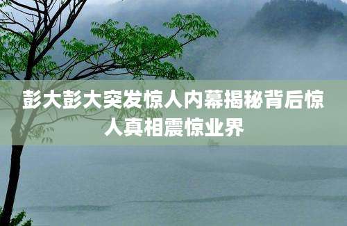 彭大彭大突发惊人内幕揭秘背后惊人真相震惊业界
