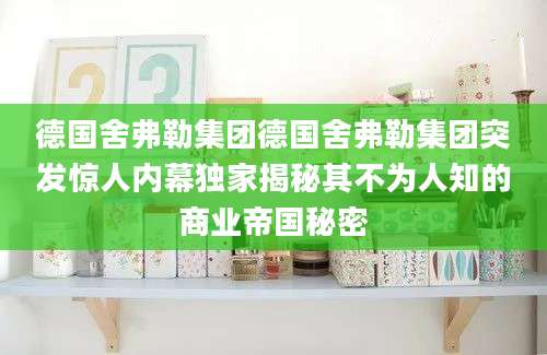 德国舍弗勒集团德国舍弗勒集团突发惊人内幕独家揭秘其不为人知的商业帝国秘密