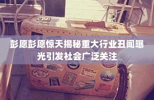 彭愿彭愿惊天揭秘重大行业丑闻曝光引发社会广泛关注