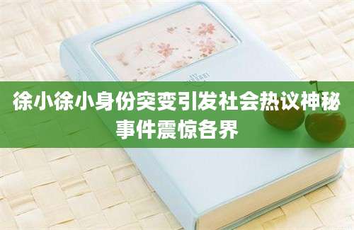 徐小徐小身份突变引发社会热议神秘事件震惊各界