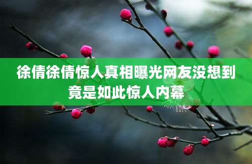 徐倩徐倩惊人真相曝光网友没想到竟是如此惊人内幕