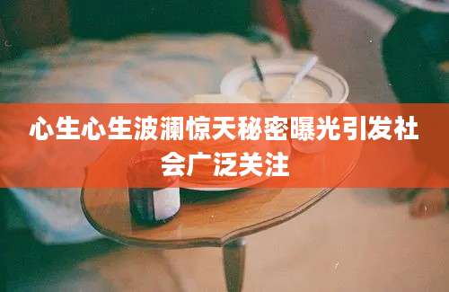 心生心生波澜惊天秘密曝光引发社会广泛关注