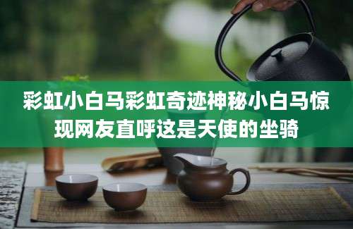 彩虹小白马彩虹奇迹神秘小白马惊现网友直呼这是天使的坐骑