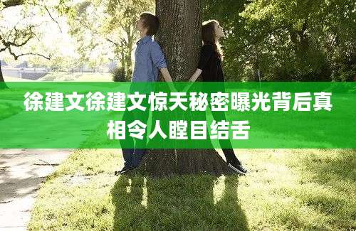 徐建文徐建文惊天秘密曝光背后真相令人瞠目结舌