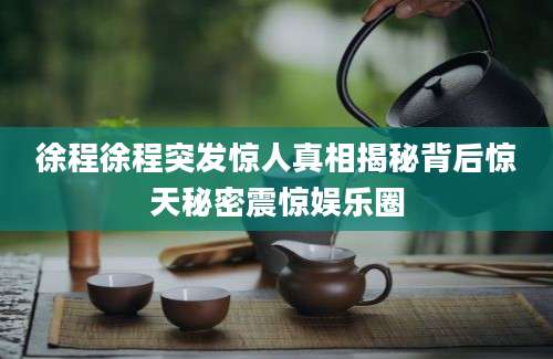 徐程徐程突发惊人真相揭秘背后惊天秘密震惊娱乐圈