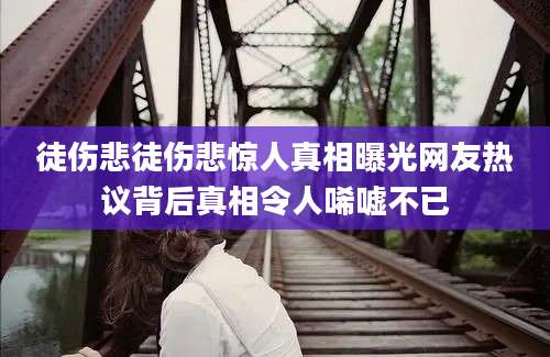 徒伤悲徒伤悲惊人真相曝光网友热议背后真相令人唏嘘不已