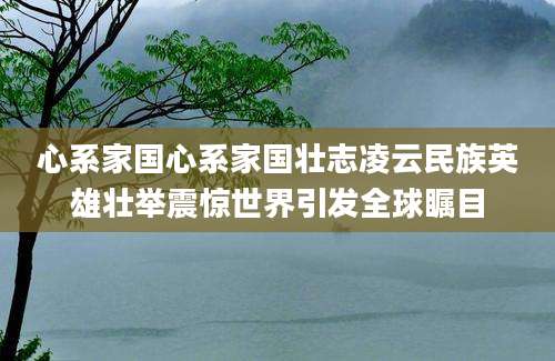 心系家国心系家国壮志凌云民族英雄壮举震惊世界引发全球瞩目