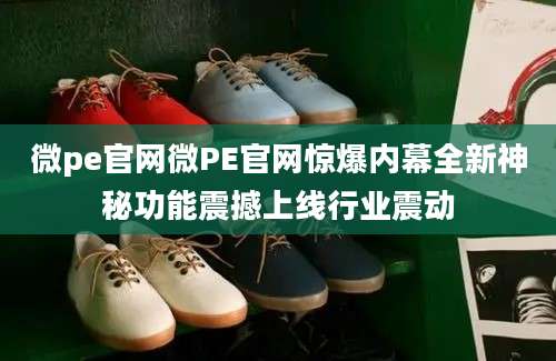 微pe官网微PE官网惊爆内幕全新神秘功能震撼上线行业震动