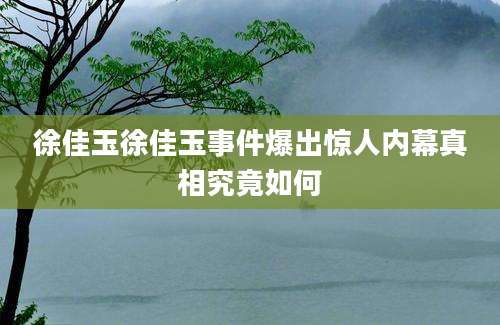 徐佳玉徐佳玉事件爆出惊人内幕真相究竟如何