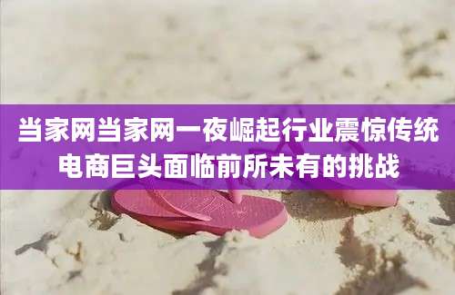 当家网当家网一夜崛起行业震惊传统电商巨头面临前所未有的挑战