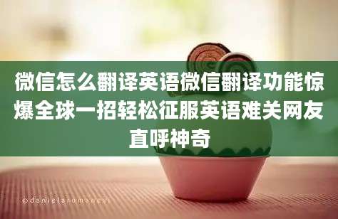 微信怎么翻译英语微信翻译功能惊爆全球一招轻松征服英语难关网友直呼神奇