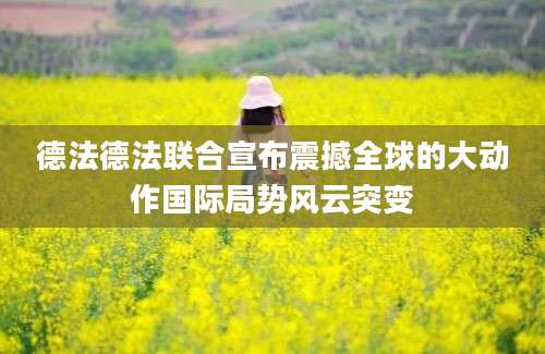 德法德法联合宣布震撼全球的大动作国际局势风云突变