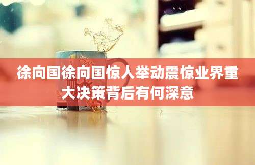 徐向国徐向国惊人举动震惊业界重大决策背后有何深意