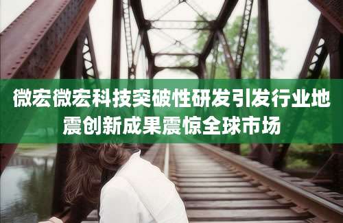 微宏微宏科技突破性研发引发行业地震创新成果震惊全球市场