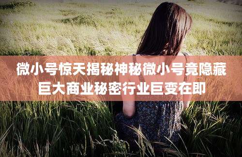 微小号惊天揭秘神秘微小号竟隐藏巨大商业秘密行业巨变在即