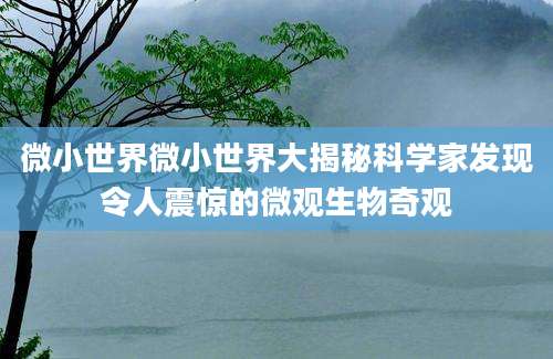 微小世界微小世界大揭秘科学家发现令人震惊的微观生物奇观