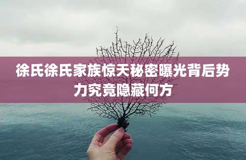 徐氏徐氏家族惊天秘密曝光背后势力究竟隐藏何方