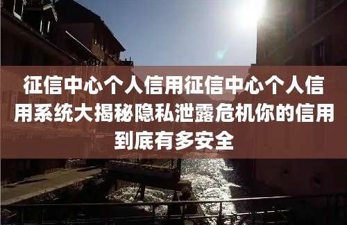 征信中心个人信用征信中心个人信用系统大揭秘隐私泄露危机你的信用到底有多安全