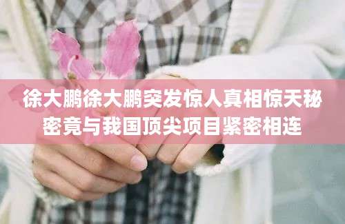 徐大鹏徐大鹏突发惊人真相惊天秘密竟与我国顶尖项目紧密相连