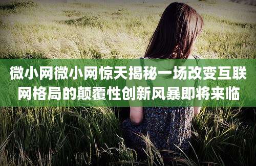 微小网微小网惊天揭秘一场改变互联网格局的颠覆性创新风暴即将来临