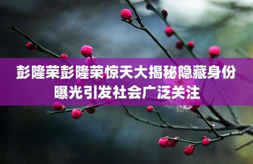 彭隆荣彭隆荣惊天大揭秘隐藏身份曝光引发社会广泛关注