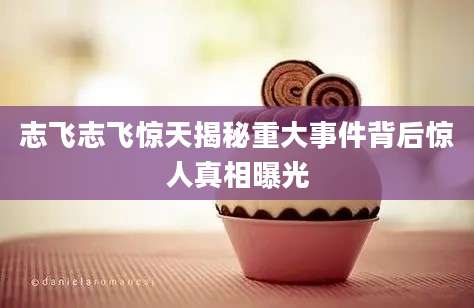 志飞志飞惊天揭秘重大事件背后惊人真相曝光
