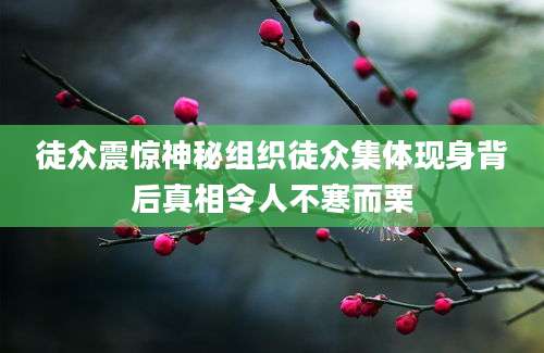 徒众震惊神秘组织徒众集体现身背后真相令人不寒而栗