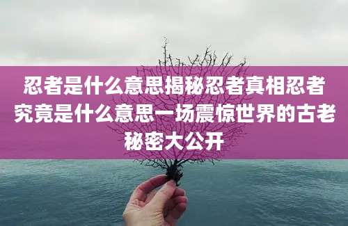 忍者是什么意思揭秘忍者真相忍者究竟是什么意思一场震惊世界的古老秘密大公开