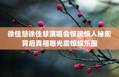 徐佳慧徐佳慧演唱会惊现惊人秘密背后真相曝光震惊娱乐圈