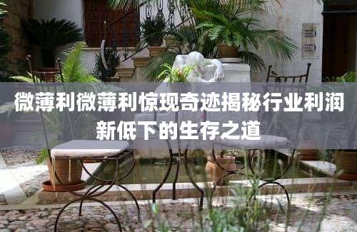 微薄利微薄利惊现奇迹揭秘行业利润新低下的生存之道