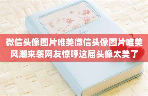 微信头像图片唯美微信头像图片唯美风潮来袭网友惊呼这届头像太美了
