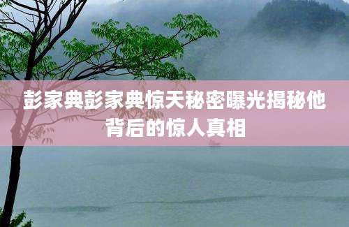 彭家典彭家典惊天秘密曝光揭秘他背后的惊人真相