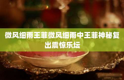 微风细雨王菲微风细雨中王菲神秘复出震惊乐坛