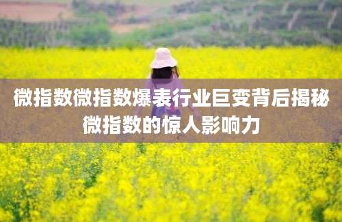 微指数微指数爆表行业巨变背后揭秘微指数的惊人影响力
