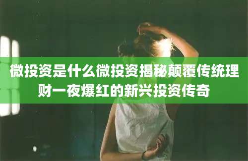 微投资是什么微投资揭秘颠覆传统理财一夜爆红的新兴投资传奇