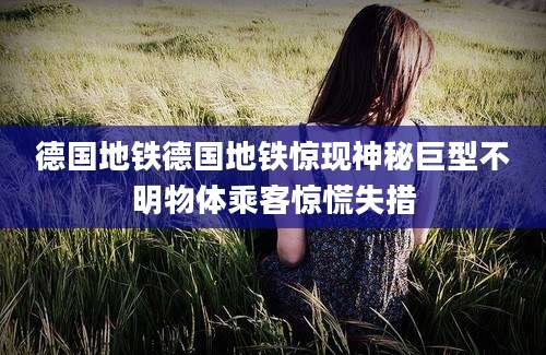 德国地铁德国地铁惊现神秘巨型不明物体乘客惊慌失措
