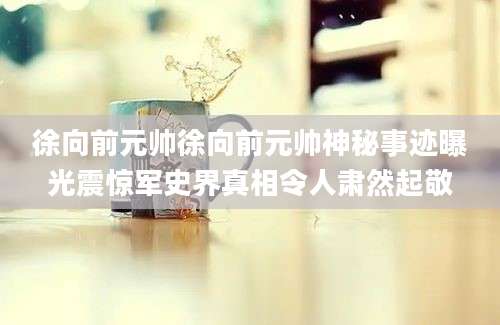 徐向前元帅徐向前元帅神秘事迹曝光震惊军史界真相令人肃然起敬