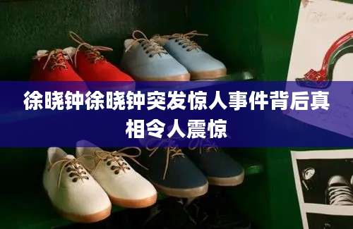 徐晓钟徐晓钟突发惊人事件背后真相令人震惊