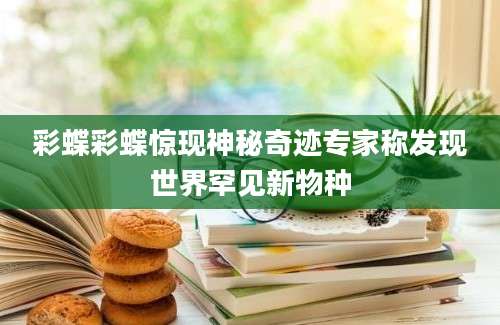 彩蝶彩蝶惊现神秘奇迹专家称发现世界罕见新物种