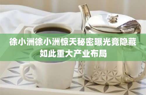 徐小洲徐小洲惊天秘密曝光竟隐藏如此重大产业布局