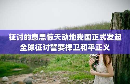 征讨的意思惊天动地我国正式发起全球征讨誓要捍卫和平正义